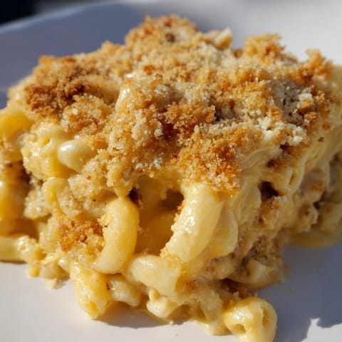 Baked macaroni and cheese fresh from the oven, featuring golden brown breadcrumbs on top.